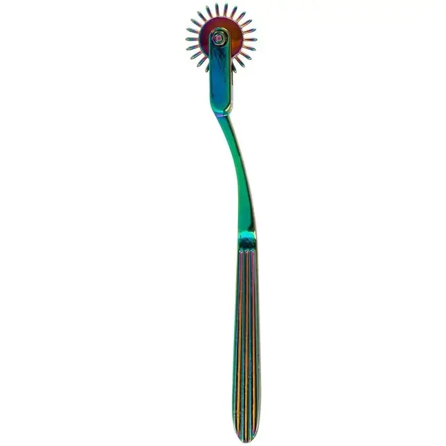 Радужное колесо Вартенберга Rainbow Single Pinwheel - Fetish Collection