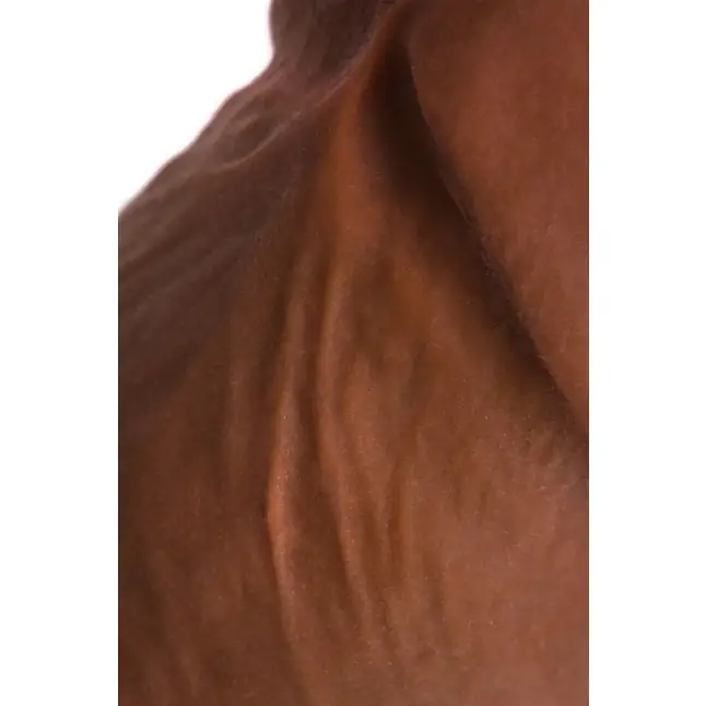 Вибратор-реалистик мулат TOYFA RealStick Elite Mulatto - 21 см - RealStick Elite Mulatto. Фотография 14.